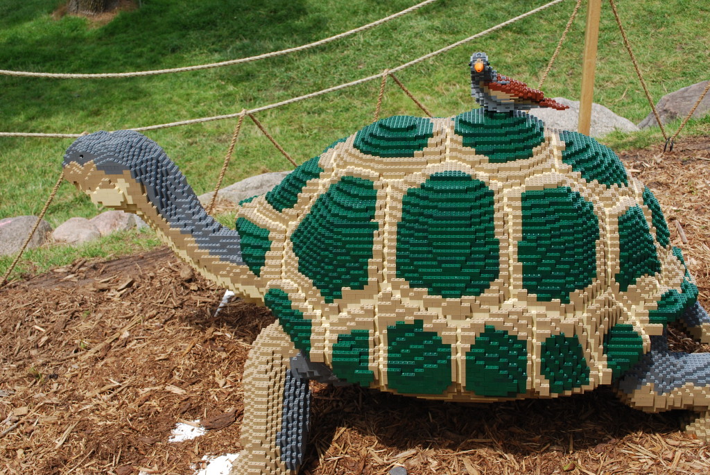 LEGO Display - A Galapagos turtle with a finch on its back.
