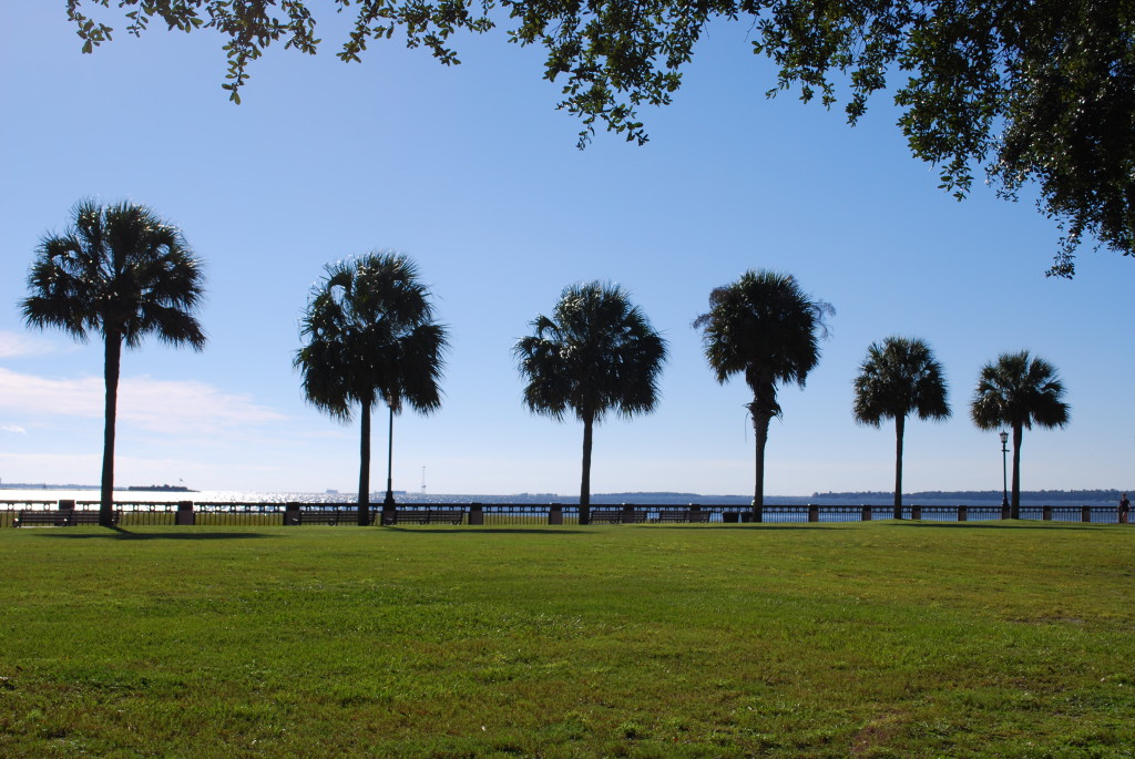 Palms line the waterfront park.