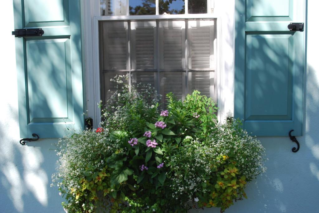One of many window boxes in the Historic District.