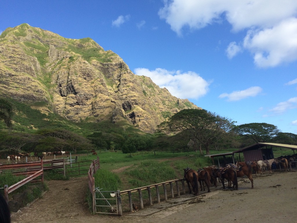 The Kualoa Ranch on Oahu