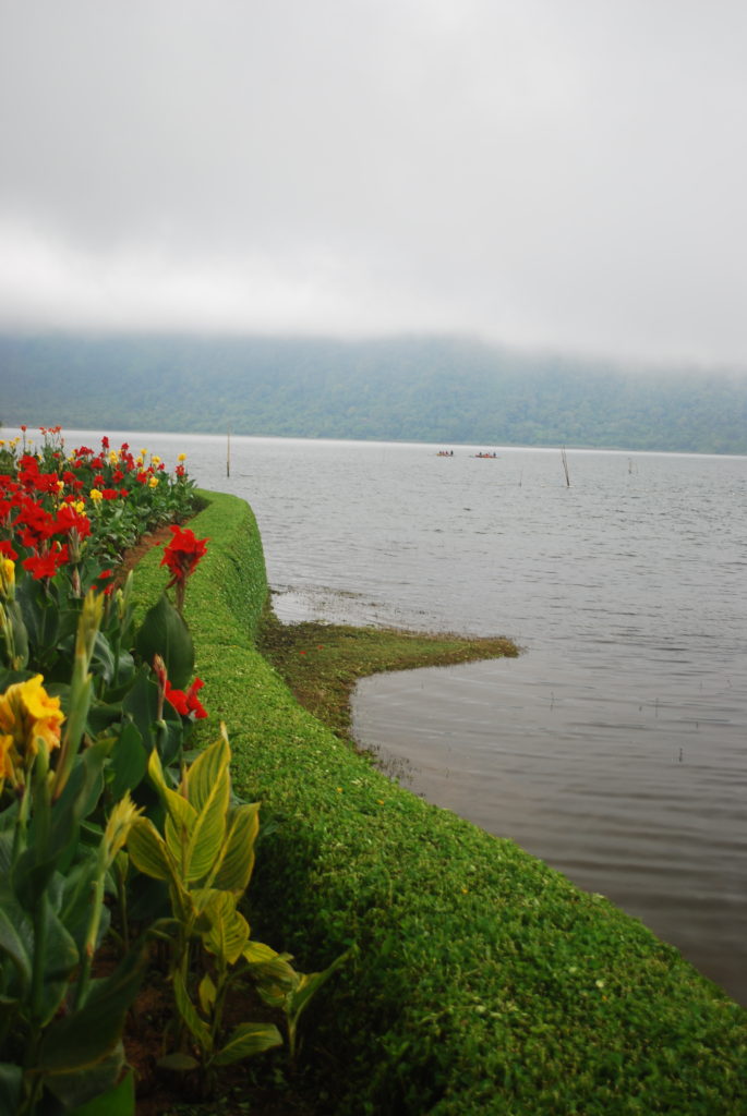 Flowers and Lake